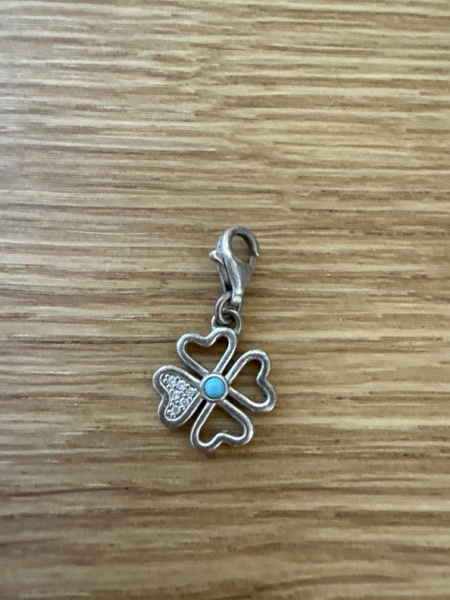 Thomas Sabo Ketten: Thomas Sabo Ketteli mit Anhängern – Gebraucht aus Erlen von man_9dcp 3