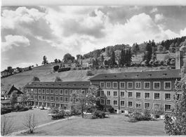 GRUSS aus ZÜRICH WAID