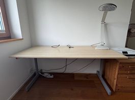 IKEA Schreibtisch, 160 x 80 cm