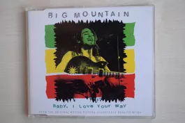 BIG MOUNTAIN: Baby I Love Your Way (241)