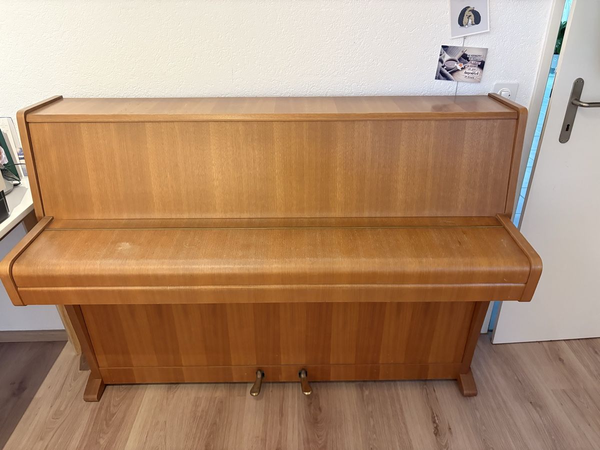 Strumenti musicali: Rieger Kloss Klavier – Usato da Uster venduto da mir_tmt5
