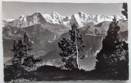 Beatenberg, Blick vom Niederhorn