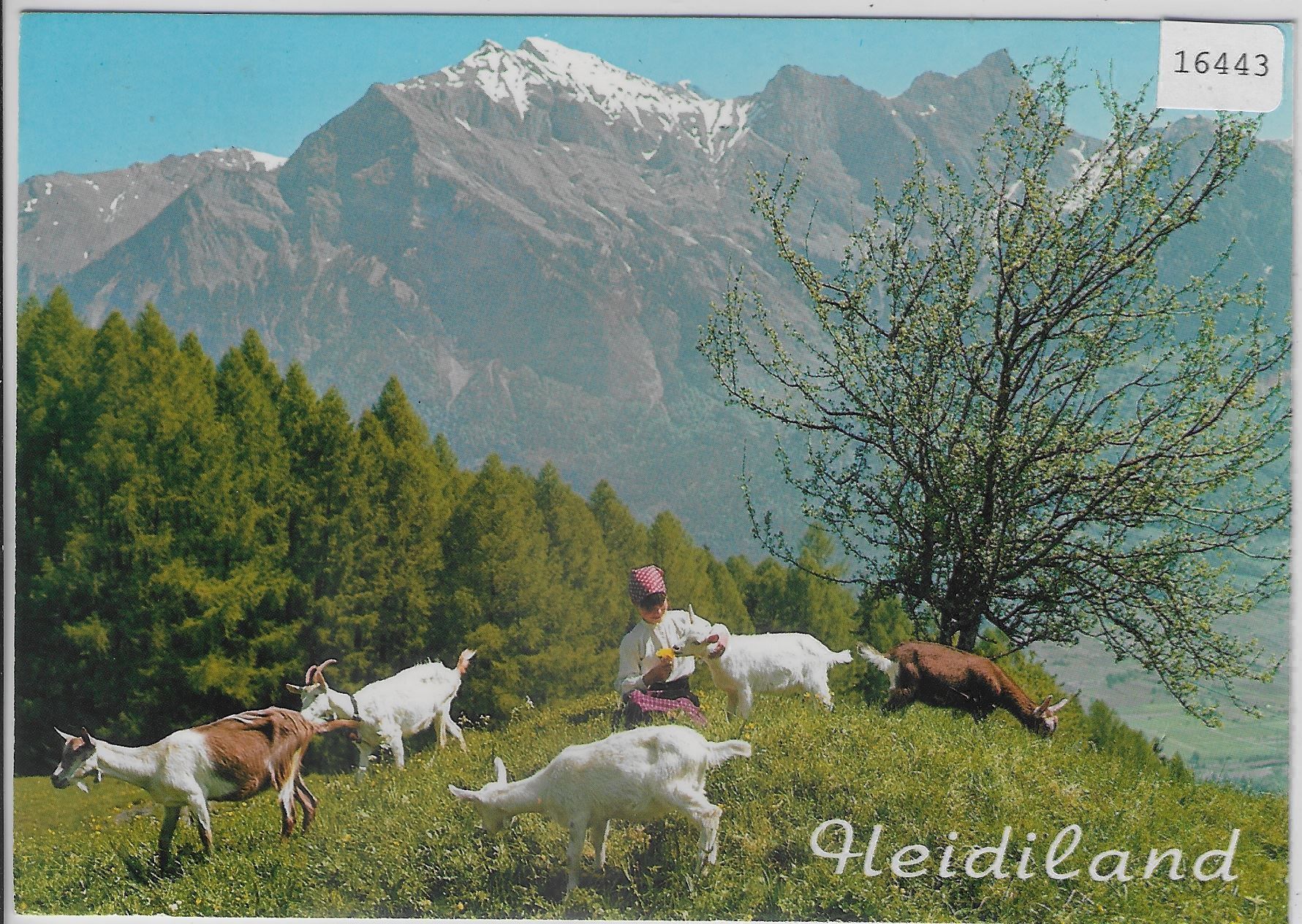 Bücher: Heidiland - Maienfeld und Bad Ragaz – Antik aus Ettingen von Kartenplanet