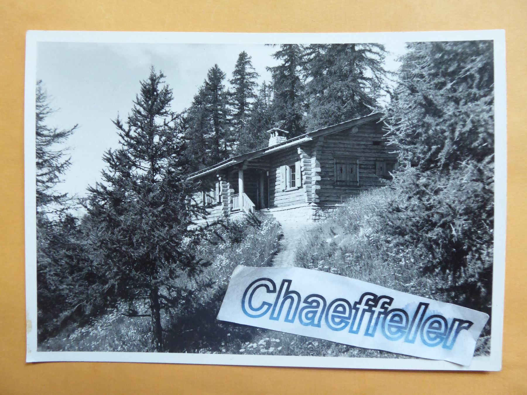 Cartoline postali: Chesa Foppettas bei Champfèr – Nuovo (secondo la descrizione) da Zürich venduto da Chaeffeler