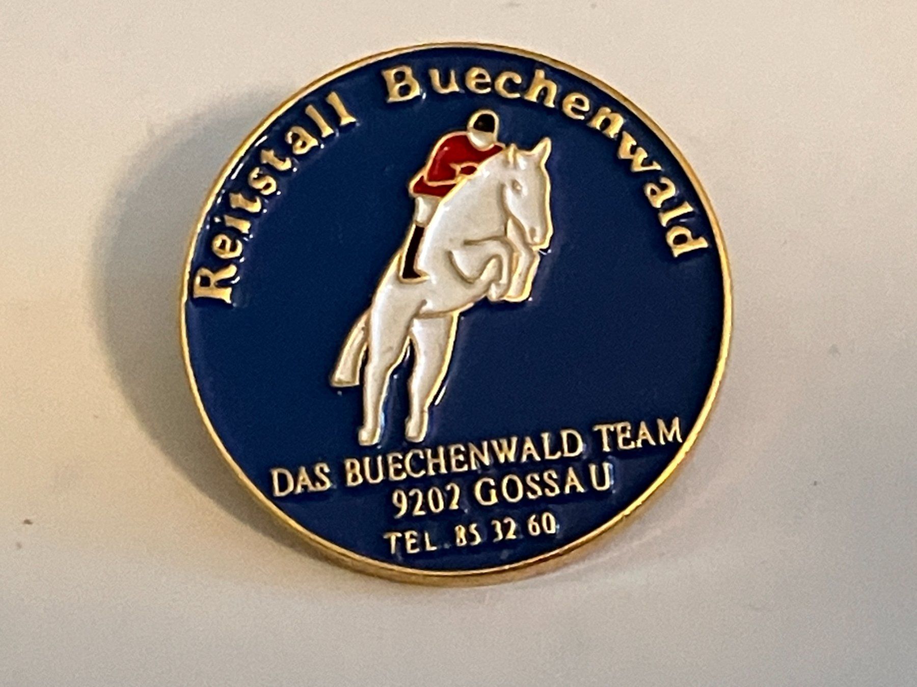 Placchette & Badge: 1 Pin Reitstall Buechenwald – Usato da Basel venduto da djwwpp