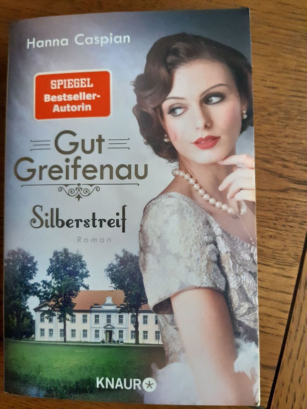 Bücher: Div. Taschenbücher Bestseller – Gebraucht aus Pieterlen von Dyui 4