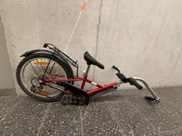 Kinder Nachläufer Fahrrad rot gut erhalten gebraucht