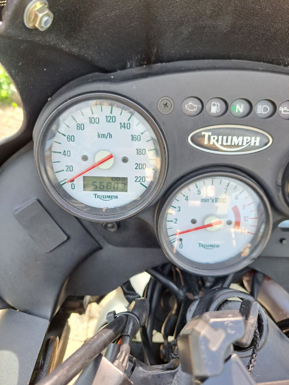 Triumph Touring: Triumph Tiger 885  ab 1111.- Chf. – Usato da Zürich venduto da masscun 6