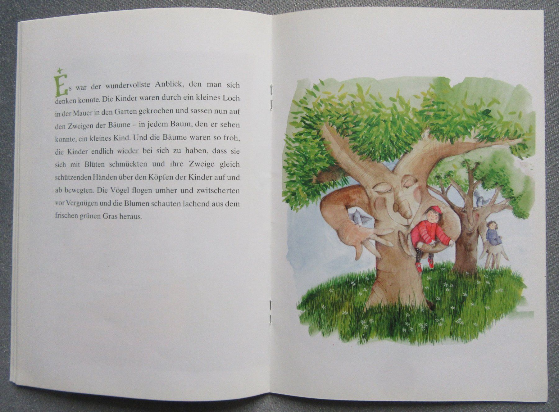 Libri: Der selbstsüchtige Riese - Bilderheft ab CHF 2.00 – Usato da Auenstein venduto da Padabimbim 5