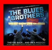 1-4 Tickets - THE BLUES BROTHERS 24.5.24 Gossau - Kat. 1 (!)