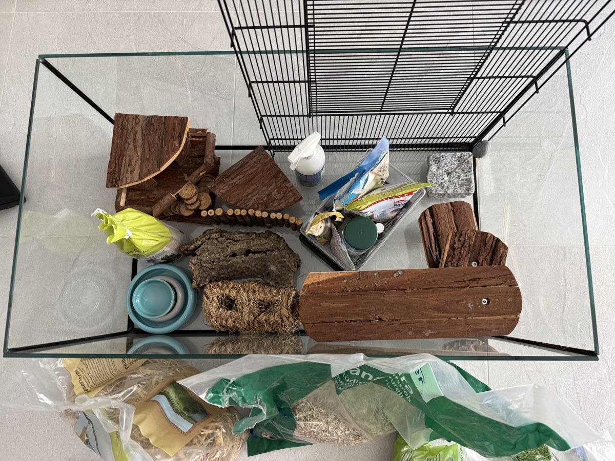 Gabbie, trasporto & Sicurezza: Hamsterkäfig – Usato da Rebstein venduto da vxla 2