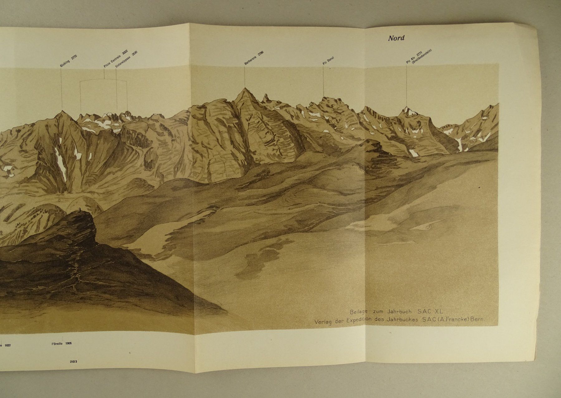 Incisioni: PANORAMA VOM CAMOGHE, LITHOGRAPHIE 1905 – Usato da Grüningen venduto da Kartensammler 3