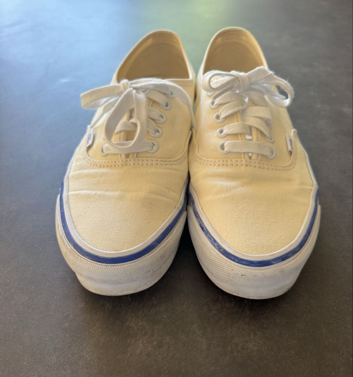 Vans Scarpe da uomo: 2x VANS Authentic (42) – Usato da Coppet venduto da Apicius1 3