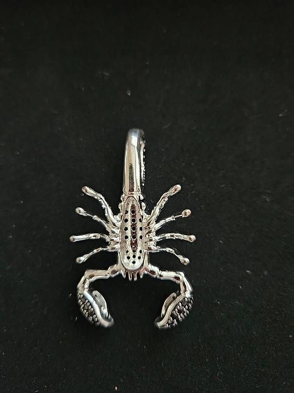 Anhänger: Anhänger Skorpion Silber – Gebraucht aus Meggen von schurli007 2
