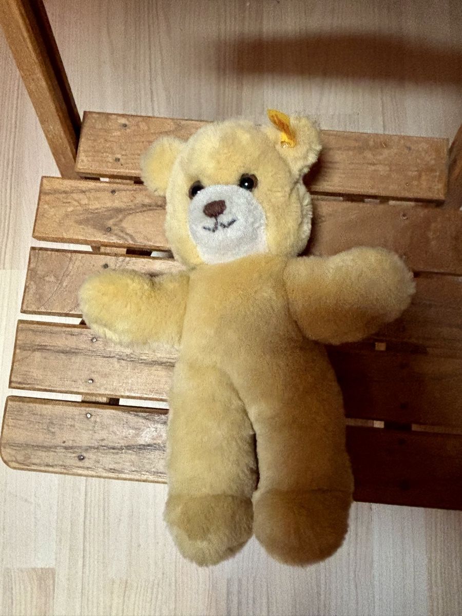 Steiff Giocattoli: Steiff Teddy Bär – Usato da Gündisau venduto da yuma06 2
