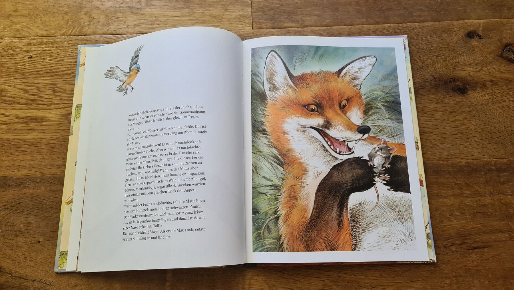 Bücher: maus kleine maus wilhelm topsch  buch – Gebraucht aus Wittenbach von Tigerlili 4