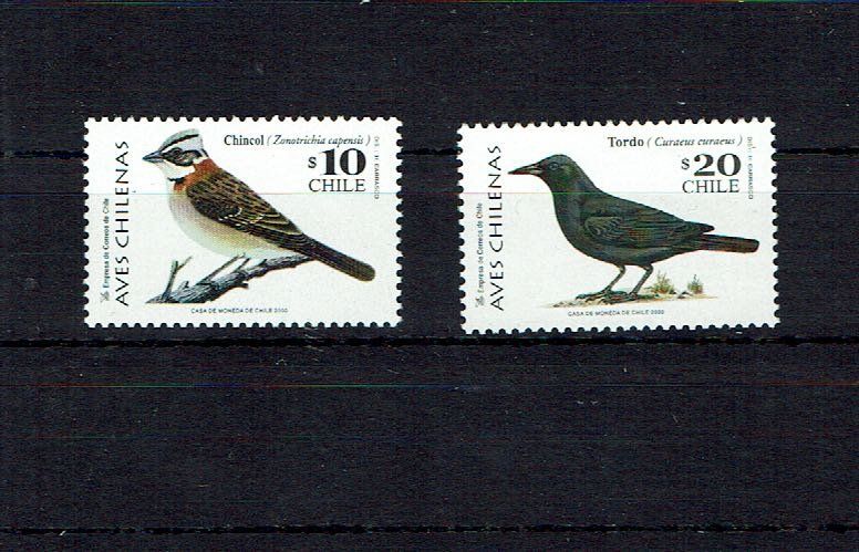 Chili 2000 Oiseaux Kaufen Auf Ricardo