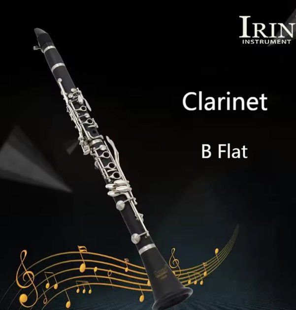 IRIN 17-Tasten Klarinette Bb (Neu (gemäss Beschreibung)) in Uster für ...