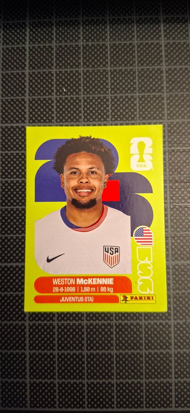 Panini Carte collezionabili: Panini FIFA WM 2026 USA 10 – Usato da Bronschhofen venduto da Pummerlchen