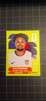 Panini FIFA WM 2026 USA 10
