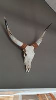 Grosser echter Schädel Stier Bulle Longhorn Skull