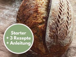 BIO Weizen Sauerteig, 15+ Jahre, Schweizer Starterkultur