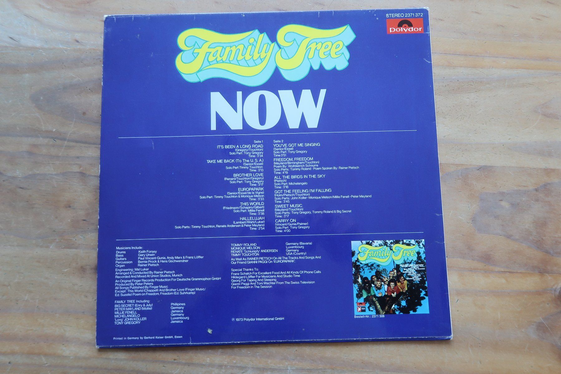 Schallplatten: FAMILY TREE - NOW - VINYL LP – Gebraucht aus Basel von Patiscat 1