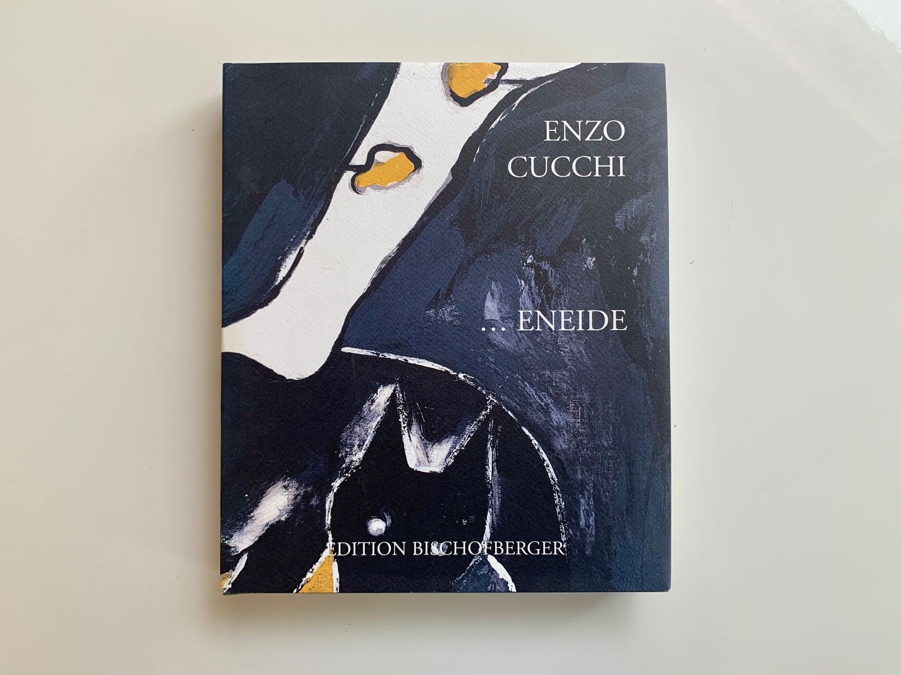 Libri: Enzo Cucchi / ... Eneide / Edition Bischofberger 419/1000 – Usato da Zürich venduto da ZuercherBrockenhaus