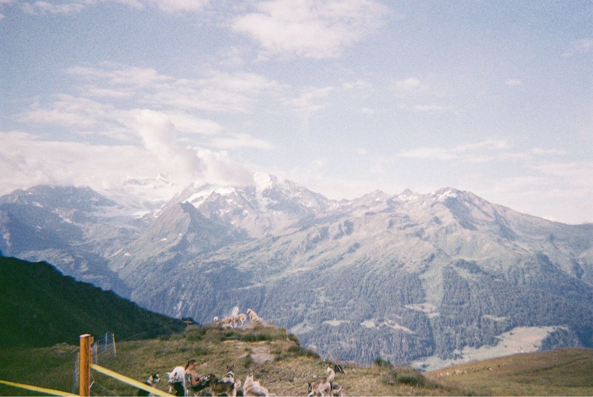 Kodak Kamera: Kodak M38 Film Camera – Gebraucht aus Lausanne von Loungn17 8