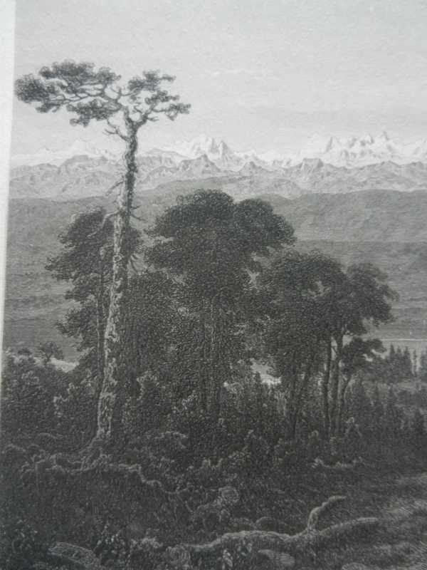 Incisioni: Die Montblanc-Kette St-Cergue – Usato da Risch venduto da Rischli15 3