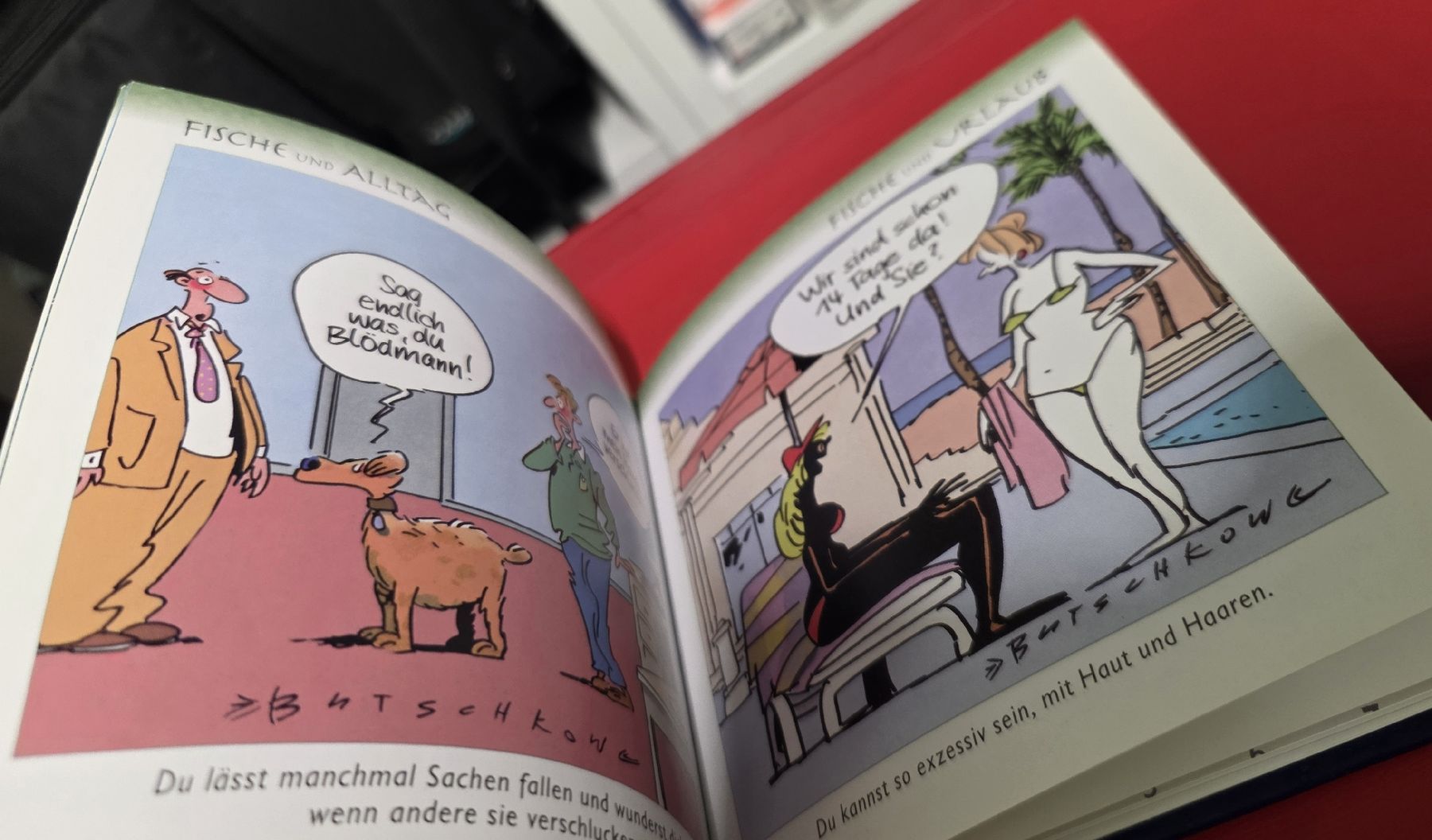 Libri: Sternzeichen Fische - Mini Buch – Usato da Reinach BL venduto da _MasterK_ 2