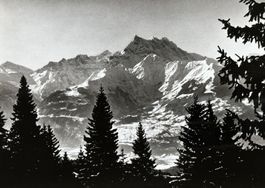 Grosse Fotokarte (14 x 19 cm)  - Dents du Midi