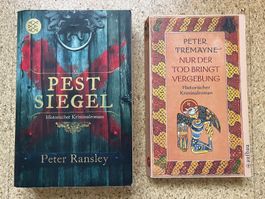 Bücherpaket - 2x historischer Kriminalroman