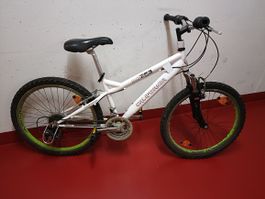 Kinder Mountainbike California Mirage 24 Zoll weiss