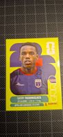 Panini FIFA WM 2026 CPV 15