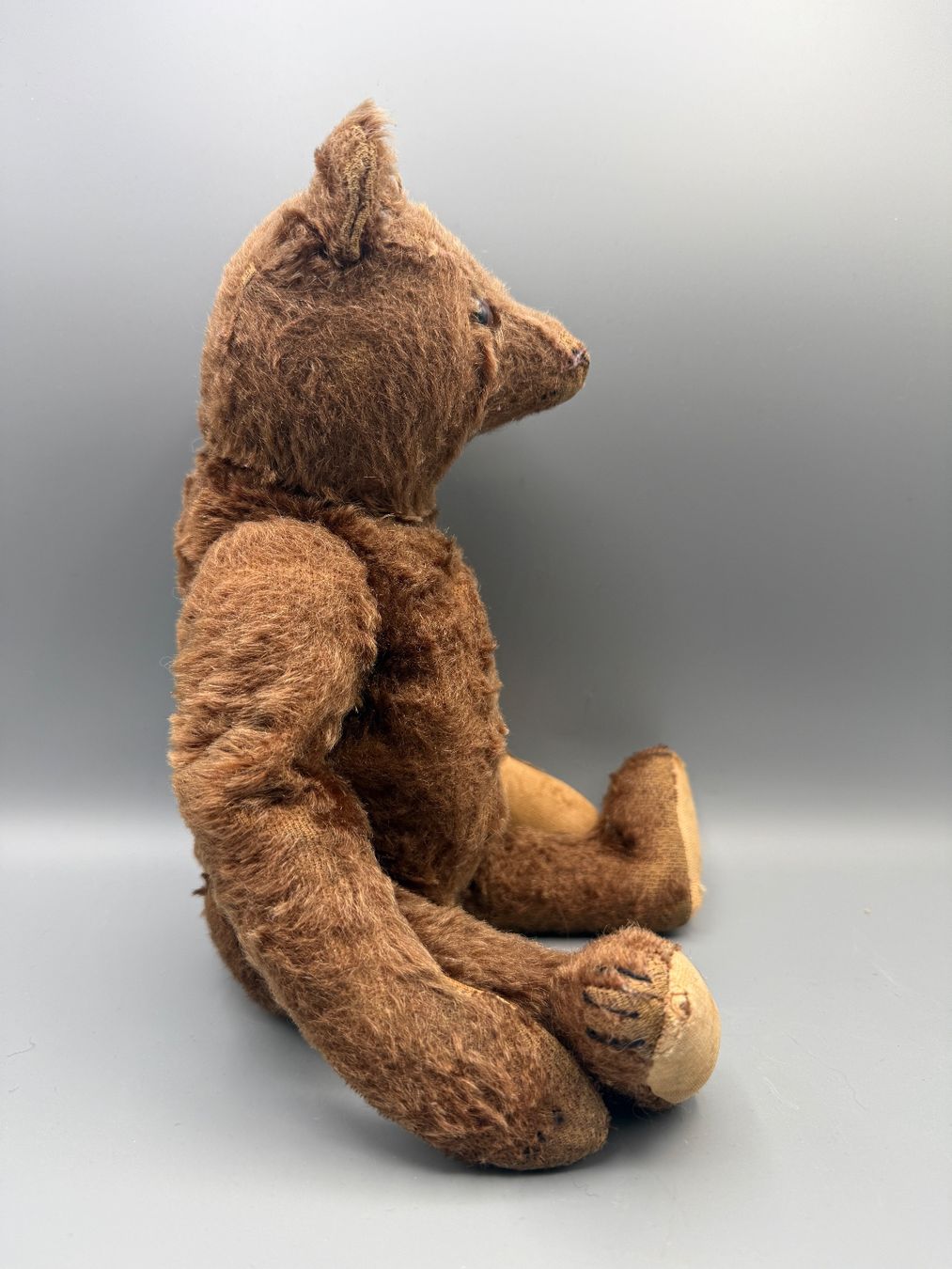 Steiff Giocattoli: Antiker Steiff Teddybär um 1920-1925 – Usato da Ueberstorf venduto da Brocandi 4
