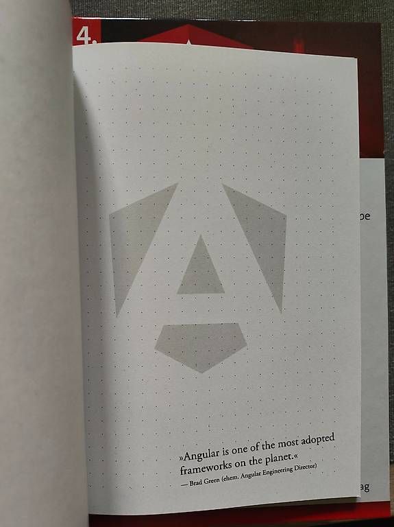 Libri: Angular 4. Auflage (Malcher, Koppenhagen, Hoppe) – Nuovo e nell'imballaggio originale da Lachen SZ venduto da Kamelfluesterer 3