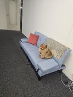 Schlafsofa LINUS hellblau – multifunktional – wie neu