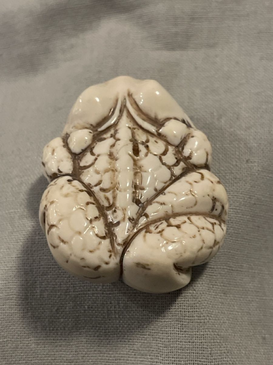 Statuette: Netsuke, liegender Frosch, signiert – Usato da Embrach venduto da Gauvain1 2