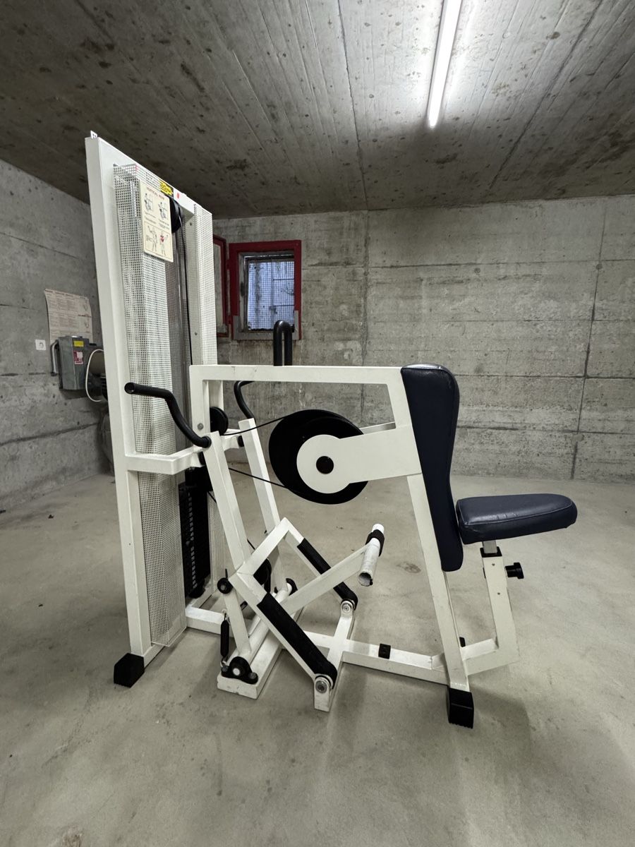 Hometrainer: Technogym Rudergerät – Usato da Oberwil BL venduto da enn_96dc 1