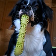 Profile image of mael.greber
