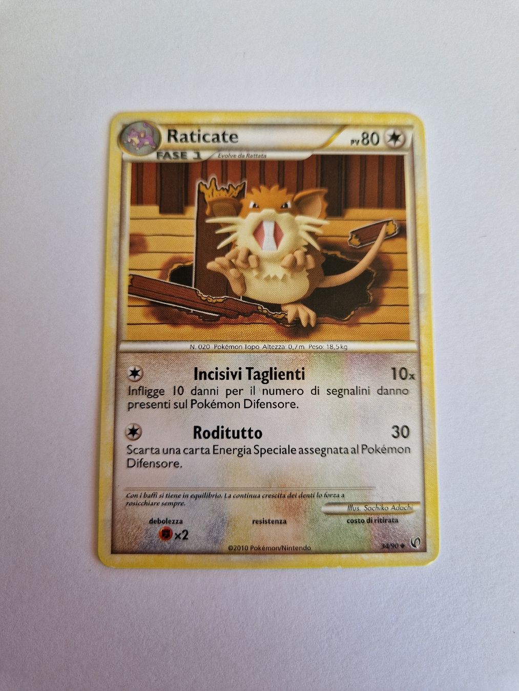 Pokémon Cartes à collectionner: Raticate - Undaunted (2010) - IT  – D'occasion à Romont FR par raj_sjv9