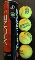 Tecnifibre X-One Tennisbälle 4 Stück Dose neuwertig