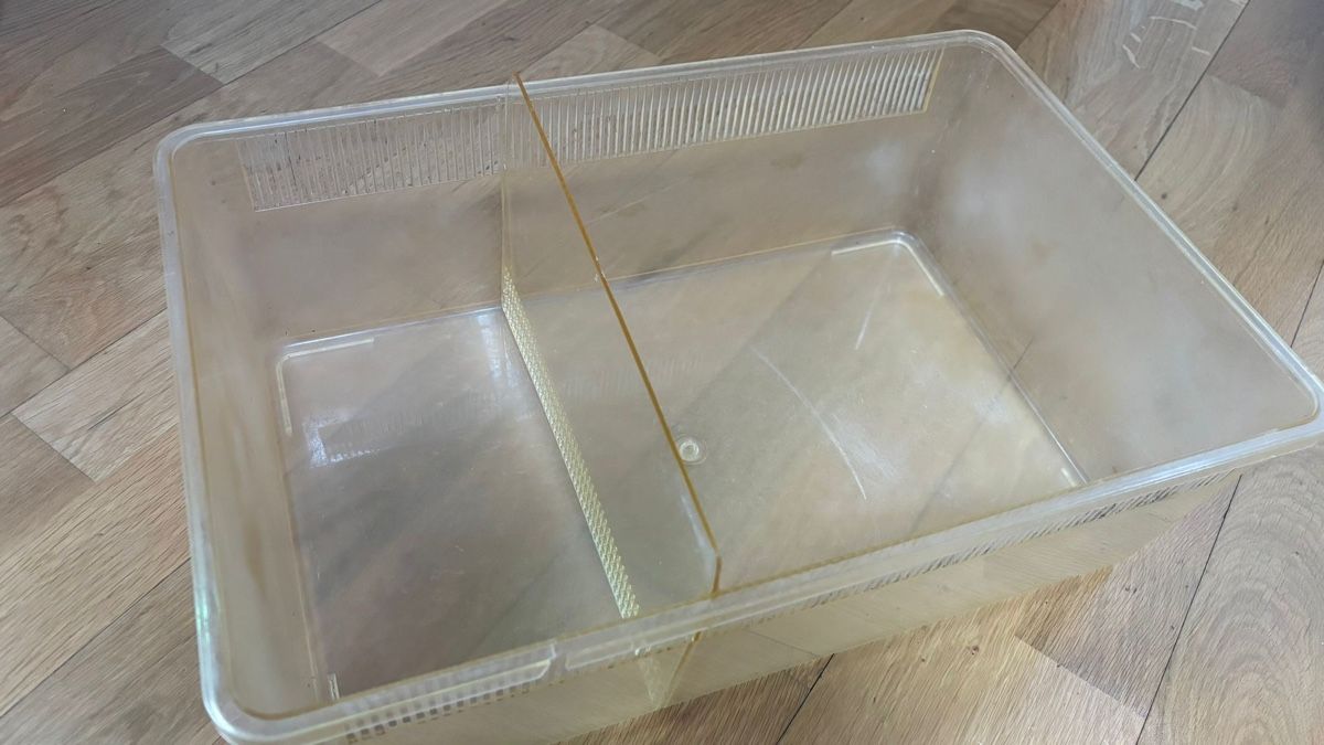 Terrario: Schildkröten-Terrarium Komplett-Set – Usato da Frenkendorf venduto da tryskac 6