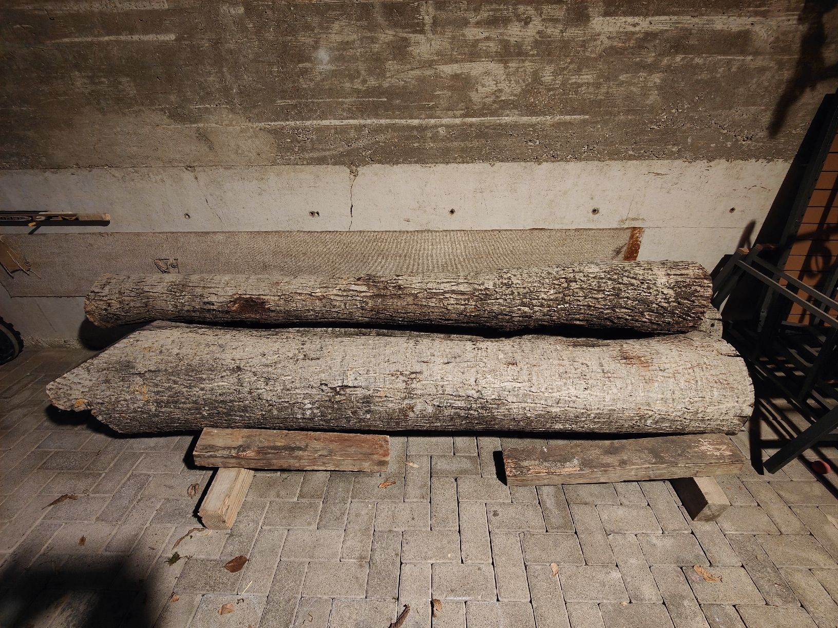 Articoli in legno: Nussbaumstäme – Usato da Walperswil venduto da mau_8wqv 1
