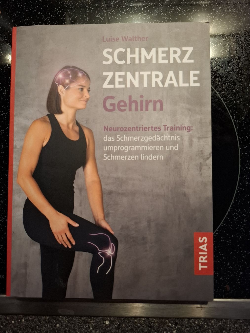 Bücher: Schmerzgedächtnis umprogrammieren – Neu (gemäss Beschreibung) aus Bern von vetrapapart