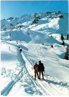 Wangs - Skilift