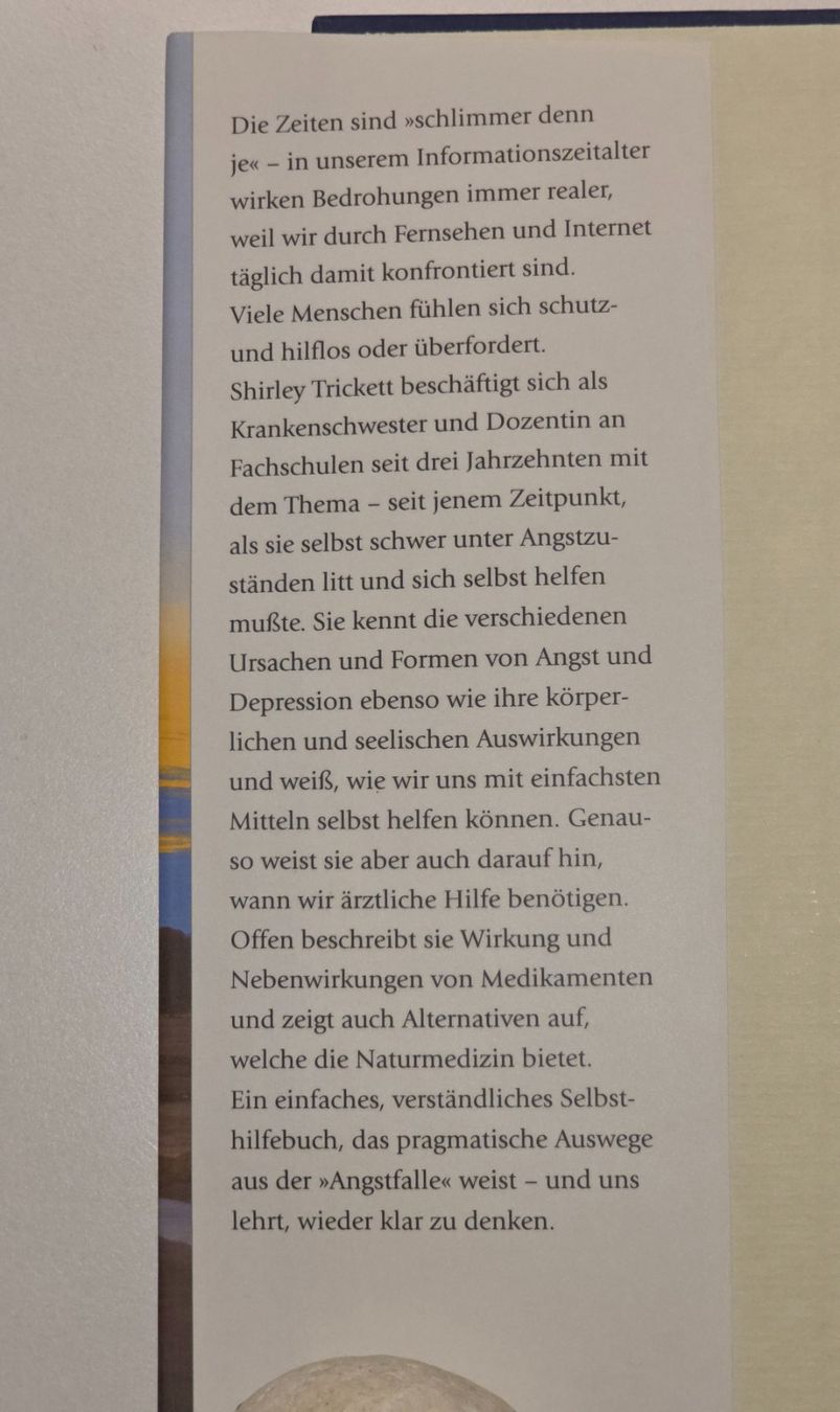 Libri: WIEDER ANGSTFREI LEBEN Selbsthilfe Panikattacken Depression – Nuovo (secondo la descrizione) da Dürnten venduto da Bachtelrider_ 3