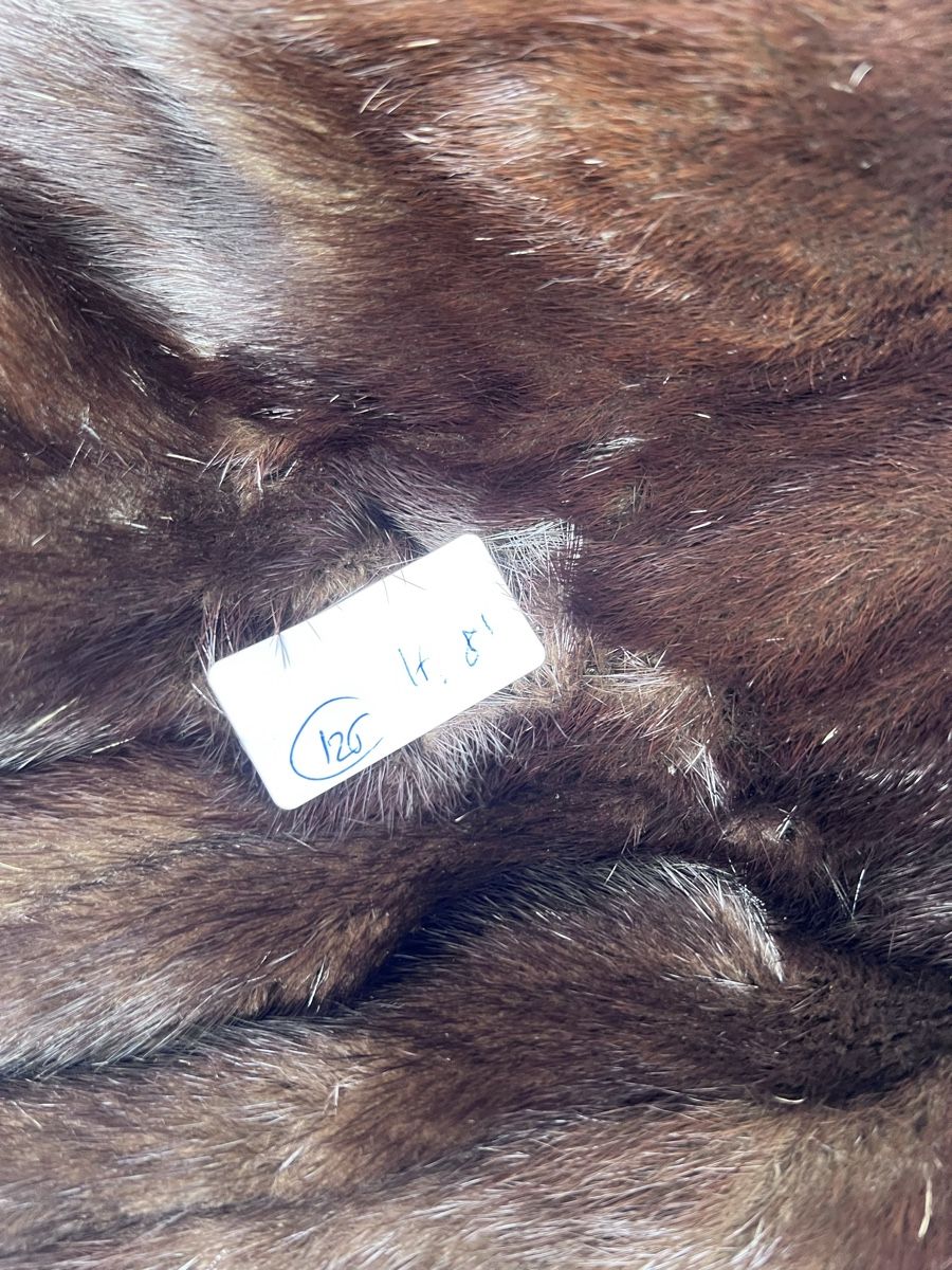 Cappotti: Pelzmantel (126) – Usato da Glattfelden venduto da maa_qcj8 6