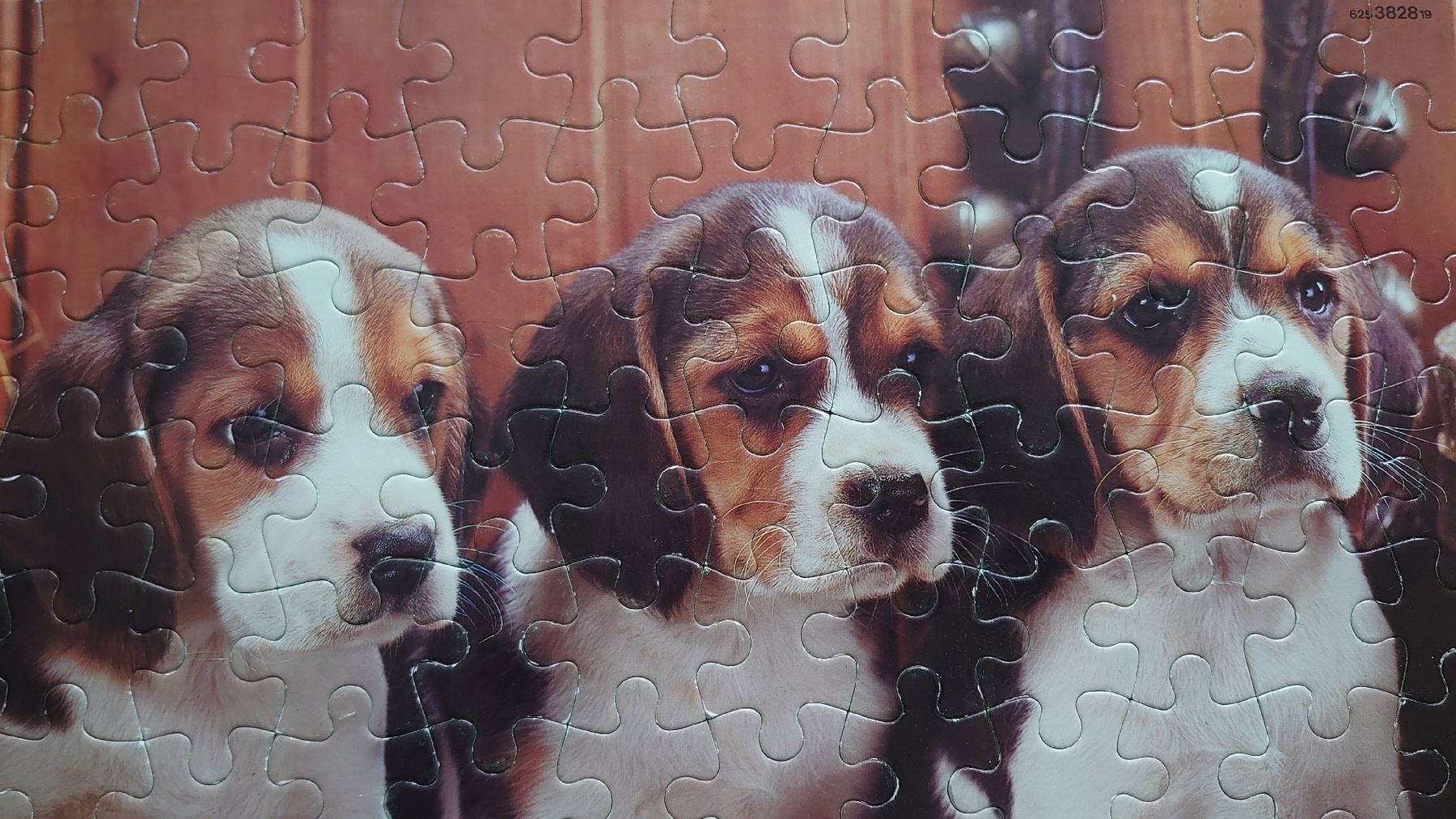 Puzzle: 100er Puzzle – Usato da Pfäffikon SZ venduto da Wild0 1